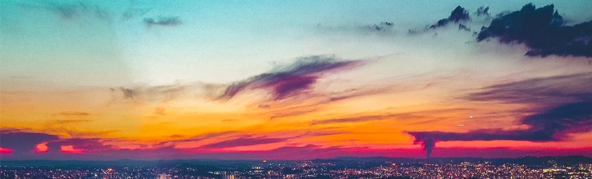 梁山茶虫网_梁山品茶